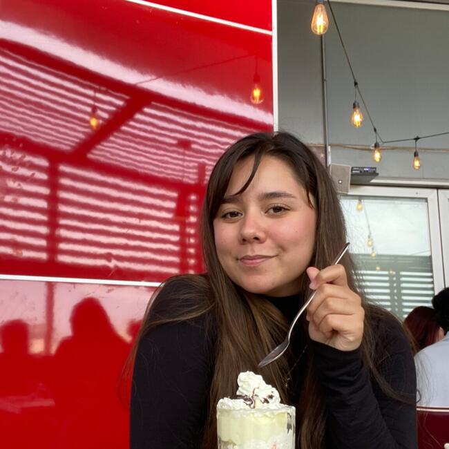 Babysitter in Santiago: Catalina Pardo