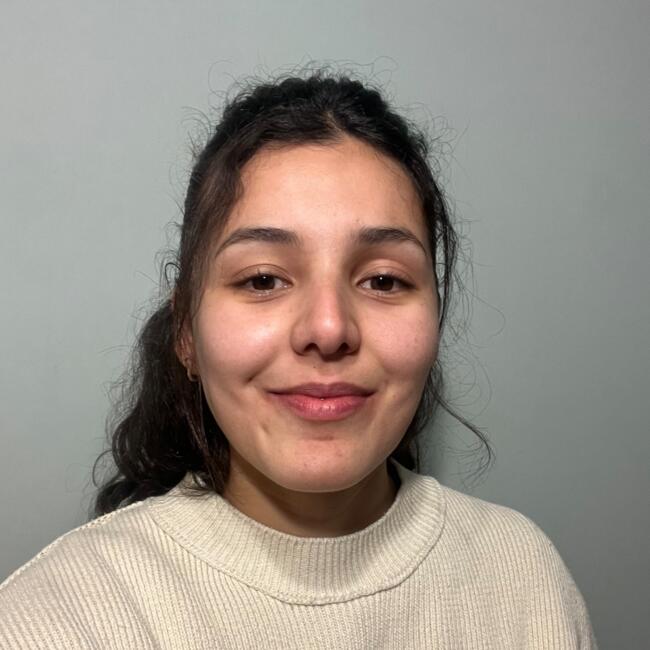 Barnevakt i Lillehammer: Sol