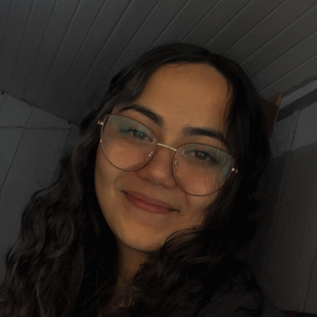 Babysitter in Curitiba: Luma