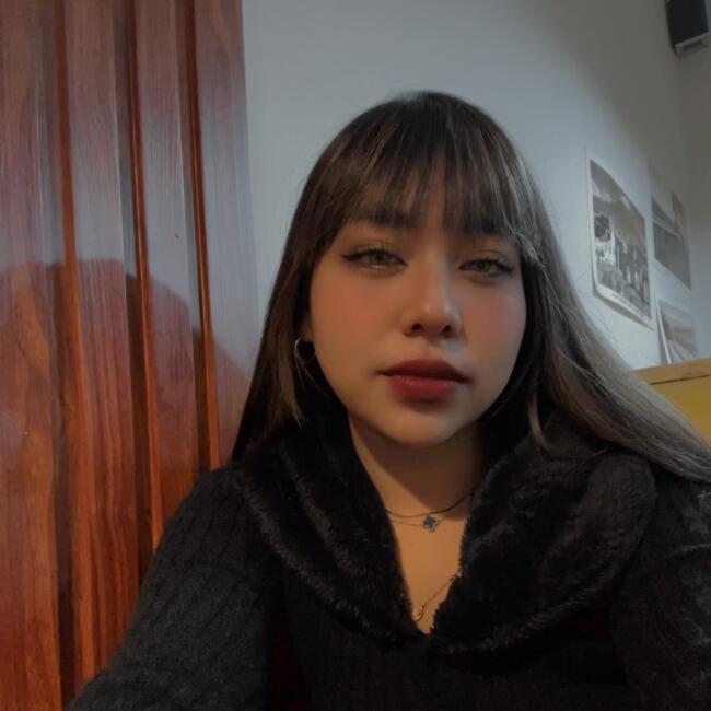 Babysitter in Miraflores (Provincia de Arequipa): Milenne