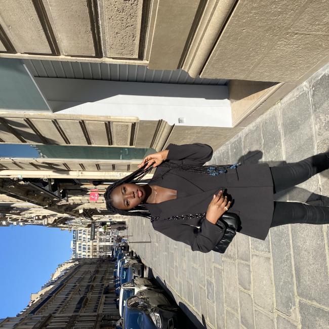 Villeneuve-d'Ascq的保母: Mame diarra