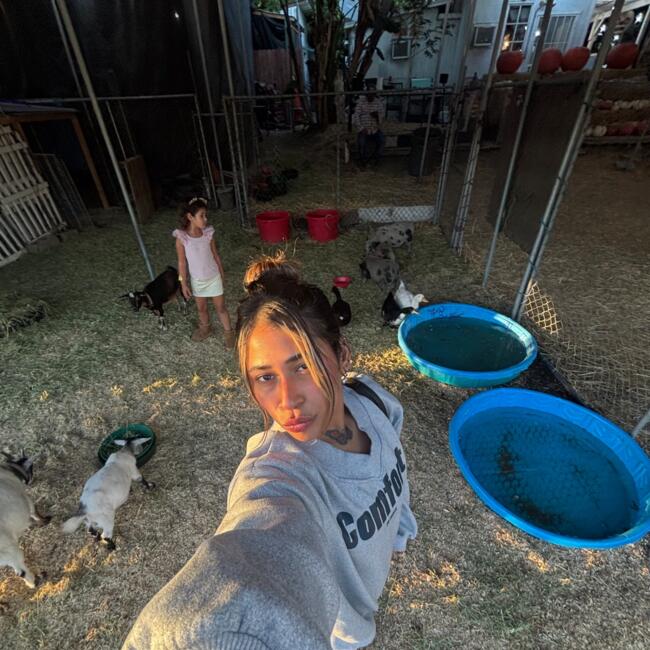 Babysitting job in Los Angeles: Dianne