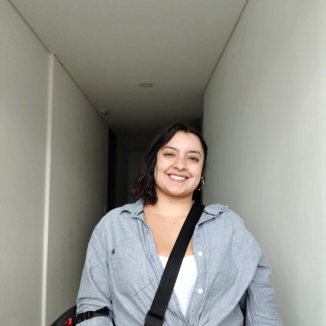 Niñera en Medellín: Lisbeth Tatiana