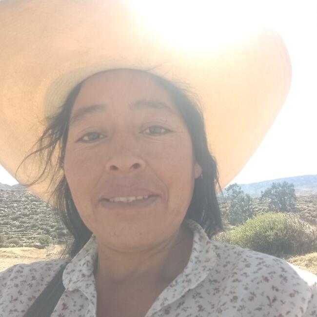 Babysitter in Mariano Melgar: Yobana