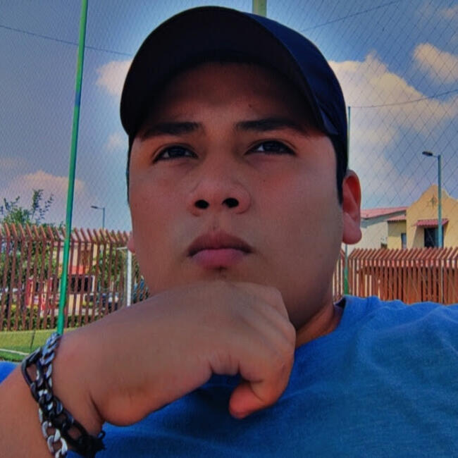 Babysitting job in Guayaquil: Henry Macías