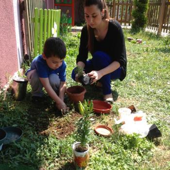 Babysitter Leicester: Gulay