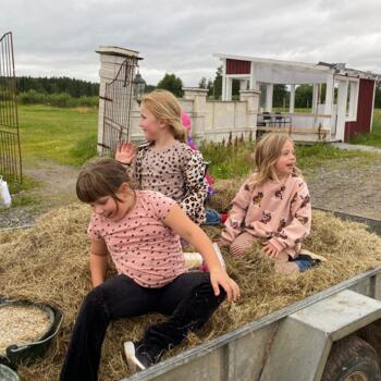 Barnvaktsjobb i Umeå: barnvaktsjobb Sofia
