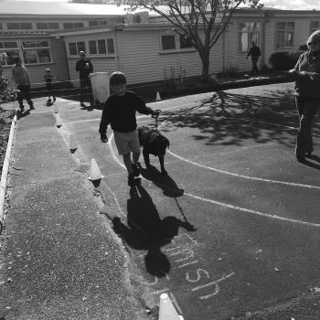 Babysitting job Hastings: babysitting job Ali