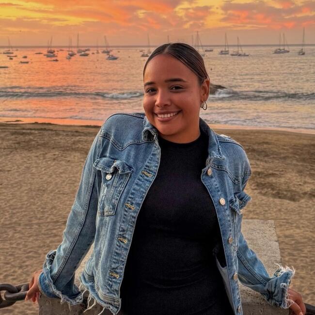 Babysitter in Viña del Mar: Roxana
