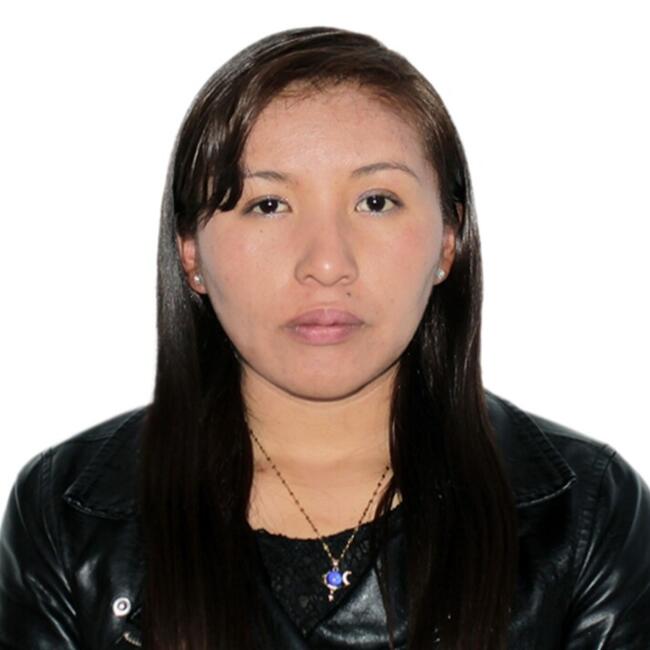 Babysitter in Santiago: Roxana Karen