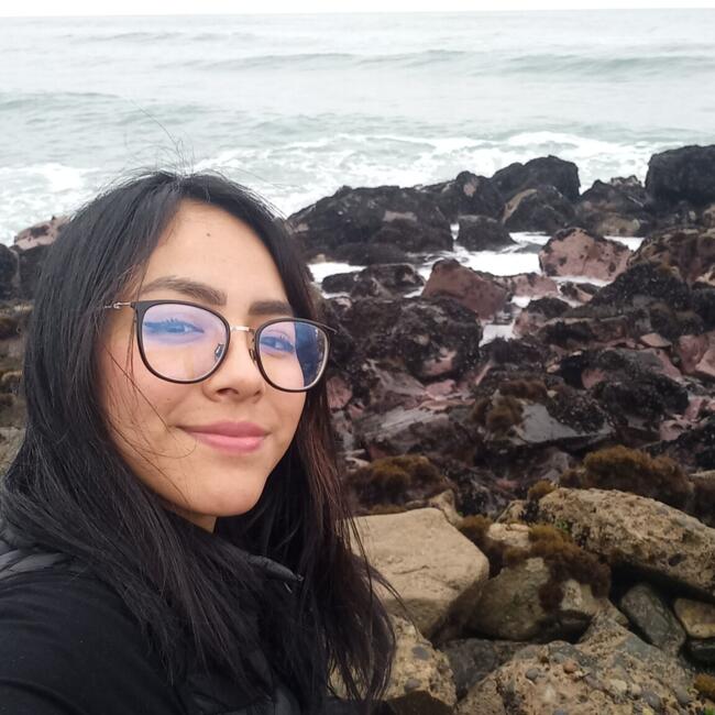 Babysitter in San Juan (Lima): Iveth