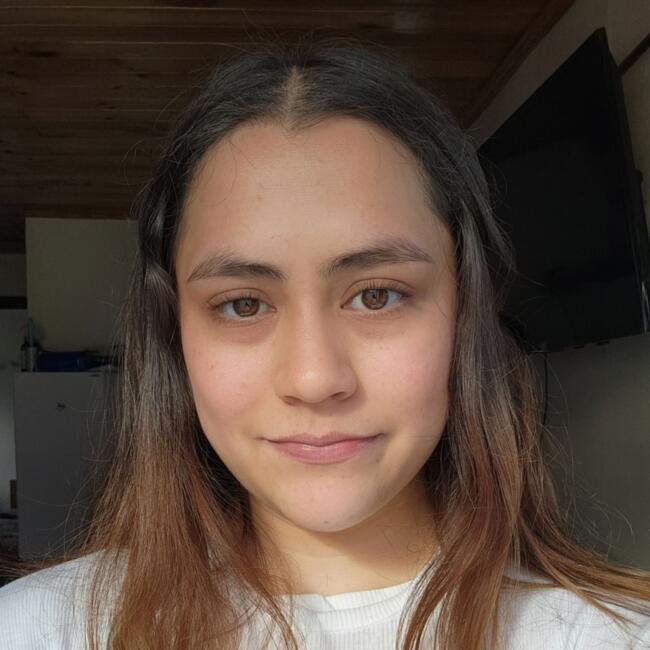 Babysitter in Temuco: Priscila