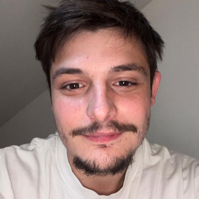 Baby-sitter à Roanne: Quentin