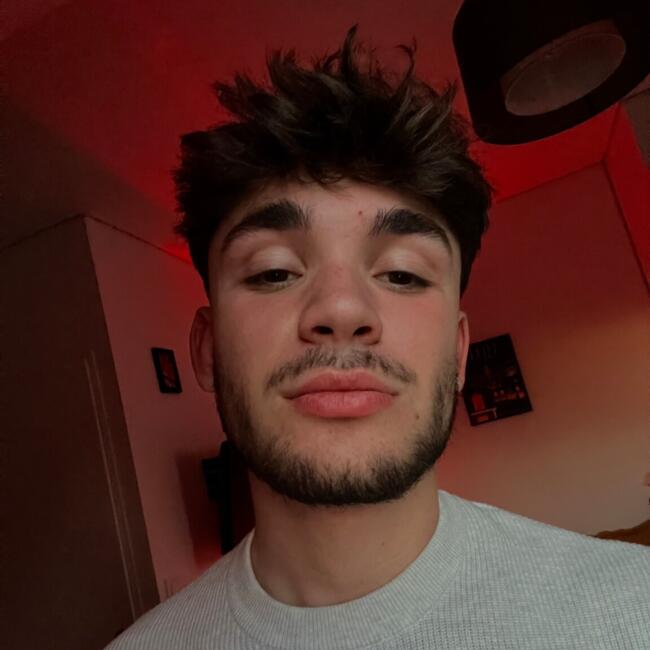 Babysitter in Wierre-Effroy: Amaury