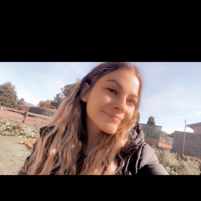 Babysitting job in Melbourne: Xena