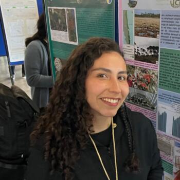 Babysitter Padre Las Casas: Javiera