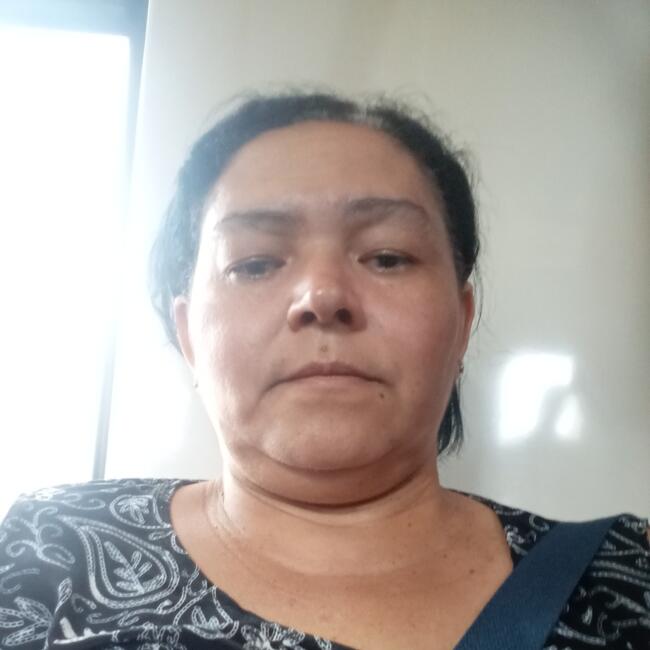 Babysitter in Cidade Ocidental: Viviane