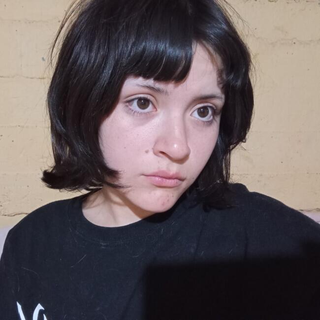 Babysitter in Santiago: Allison