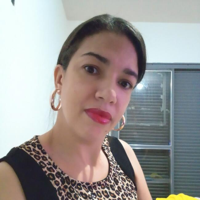 Babysitter in Uberlândia: LUCELHIA