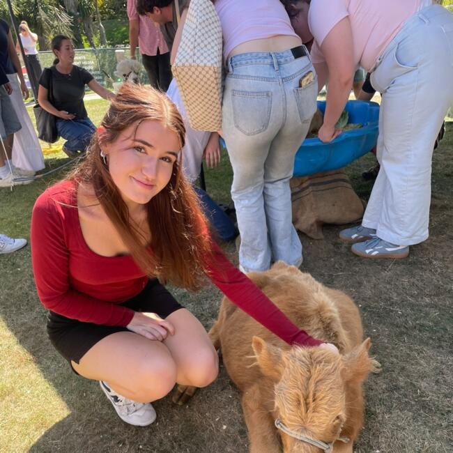 Babysitter in Christchurch: Maddie