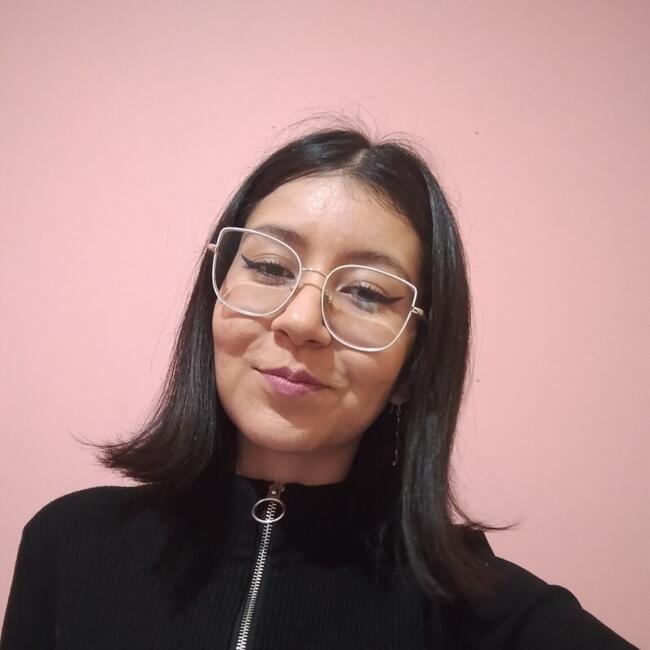Babysitter in Temuco: Rosa