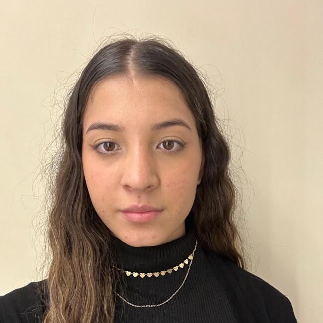 Babysitter in Ribeirão Preto: Daniely