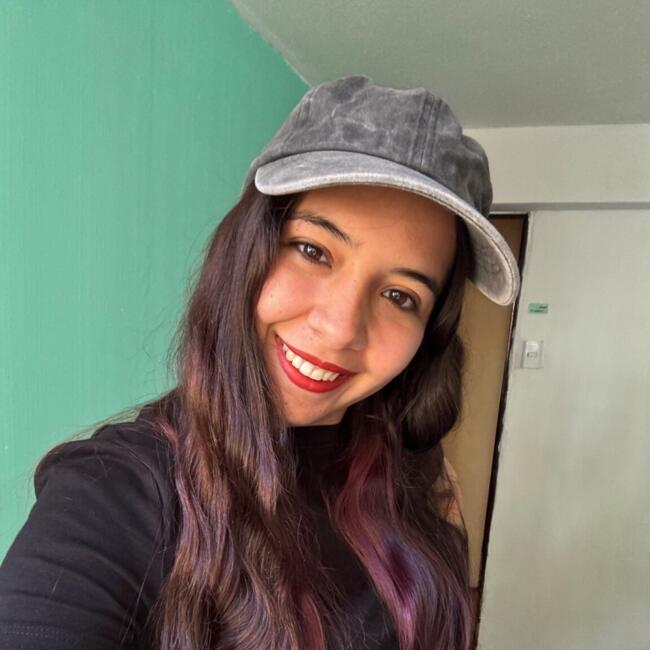 Babysitter in Santiago: Javiera