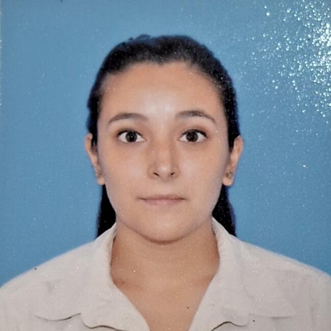 Babysitter in Lomas de Zamora (Buenos Aires): Debo