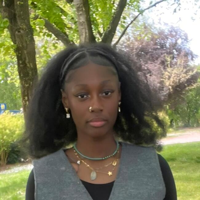 Babysitter in Chennevières-sur-Marne: Arie
