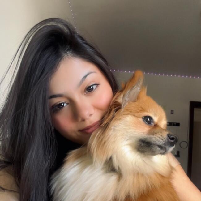 Babysitter in Chapecó: Maria Eduarda