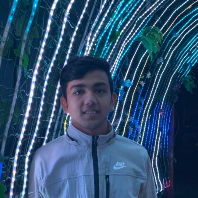 Babysitter in Bucharest: Sourav