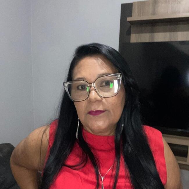 Babá em Senador Vasconcelos: Ivonete