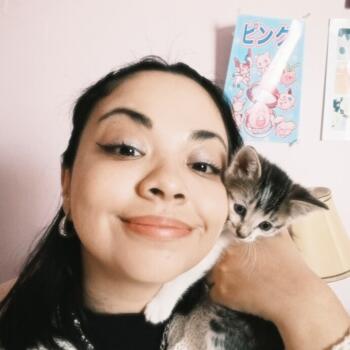 Babysitter in Quilpué: Francy