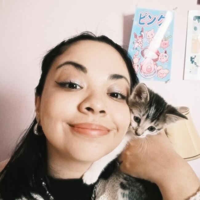 Babysitter in Quilpué: Francy