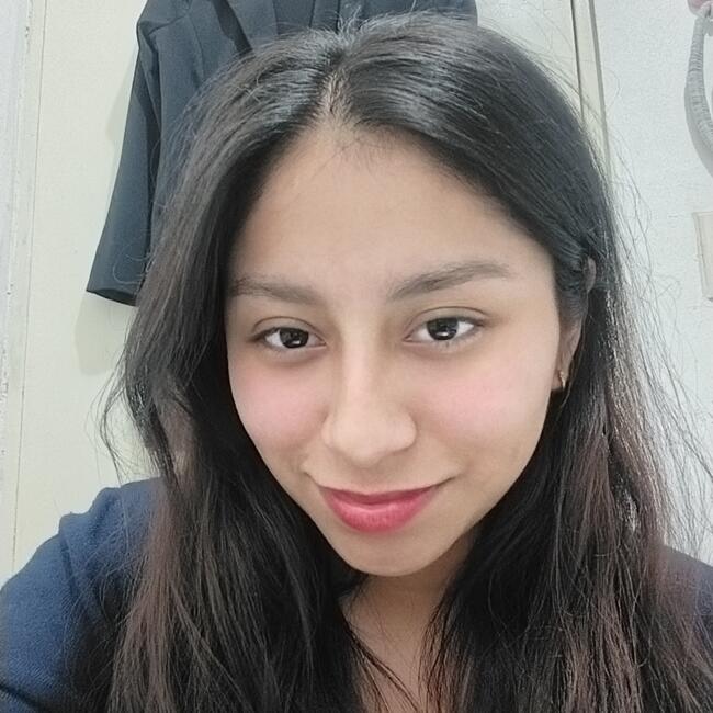 Niñera en San Pedro Garza García: Lizbeth