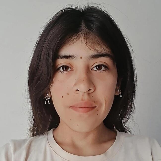 Babysitter in Florianópolis: Oriana