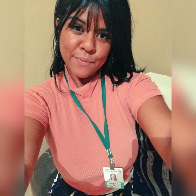 Babysitter in Águas Lindas de Goiás: Aline