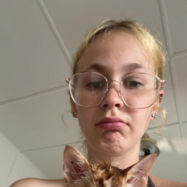 Babysitter in Gracemere: Taylor