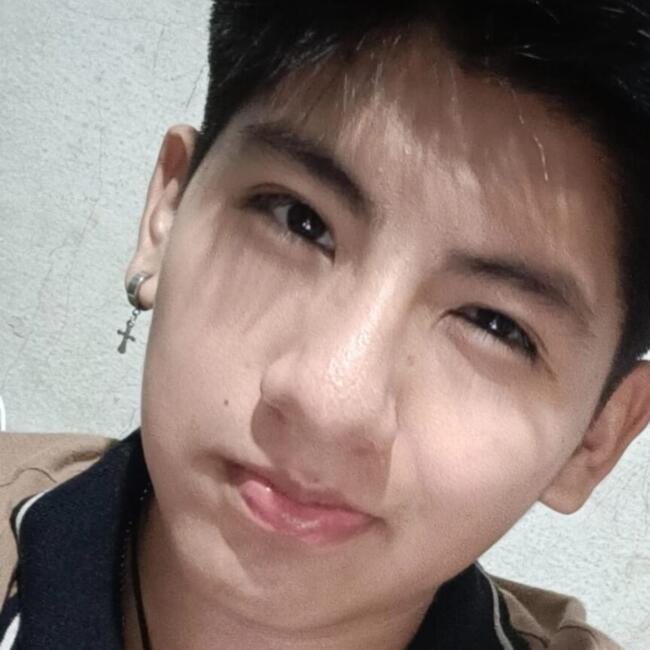 Niñera en Buenos Aires: Aramiz