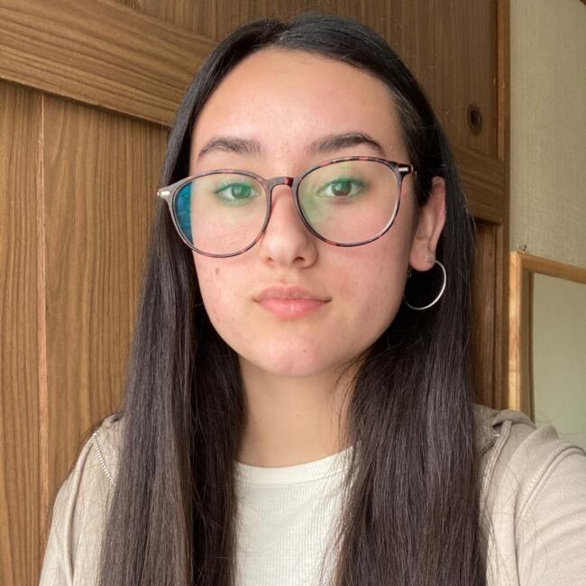 Babysitter in Concepción: Araceli