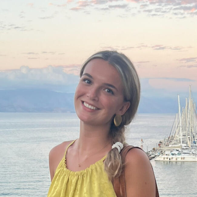 Babysitter i Birkerød: Nora