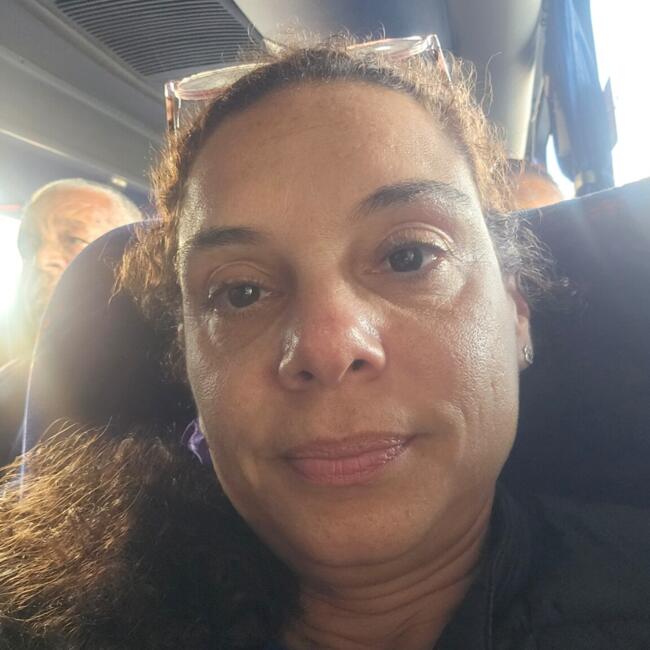 Emprego de babá em Rio de Janeiro: Carolina