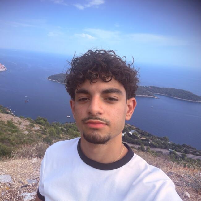 Babysitter in Lyon: Alex Amine
