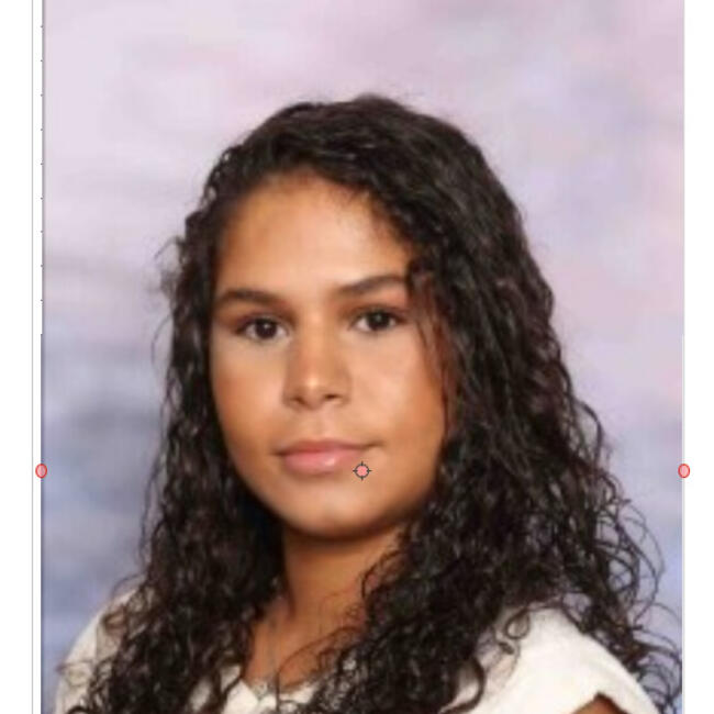 Babysitter in Plaisance-du-Touch: Lina