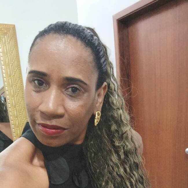 Babysitter in Niterói: Elisangela