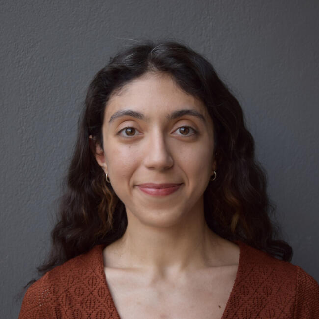 Babysitter στην περιοχή Άγιος Δημήτριος: Despoina