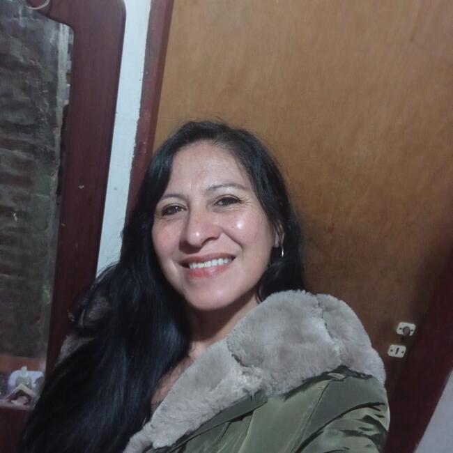 Niñera en Ciudad de Santa Fe: Silvina