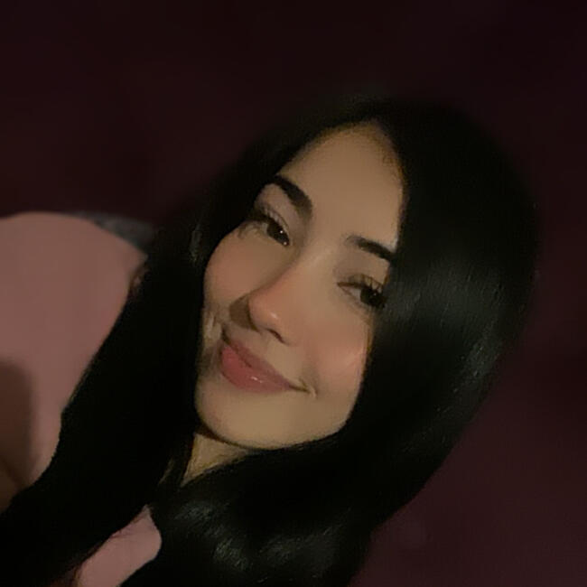 Babysitter in Chillán: Camila