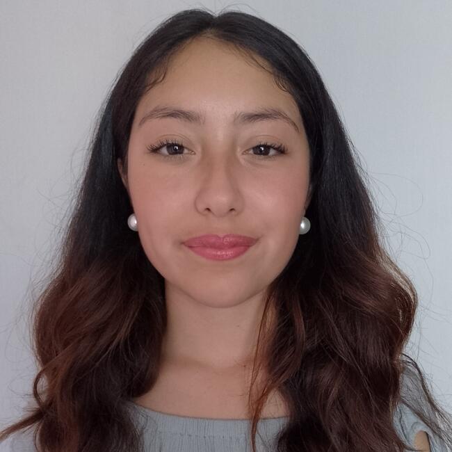 Babysitter in Temuco: Francisca