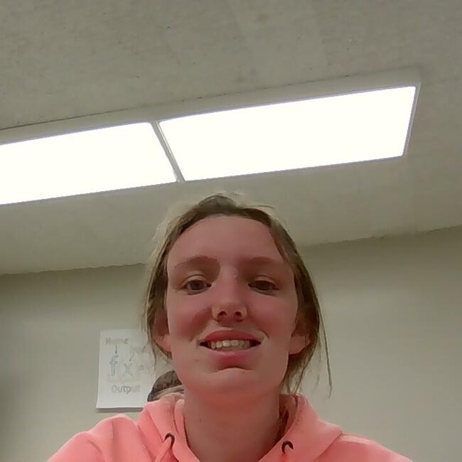 Babysitting job in Kimberly (Idaho): Michelle